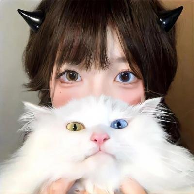 电视剧 (10集)